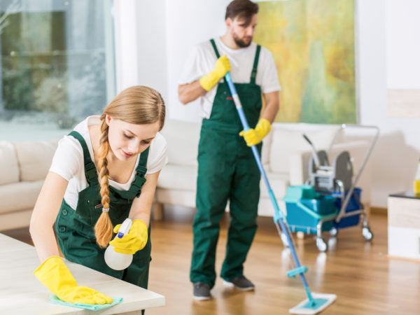 REASONS WHY YOU SHOULD HIRE A PROFESSIONAL CLEANER