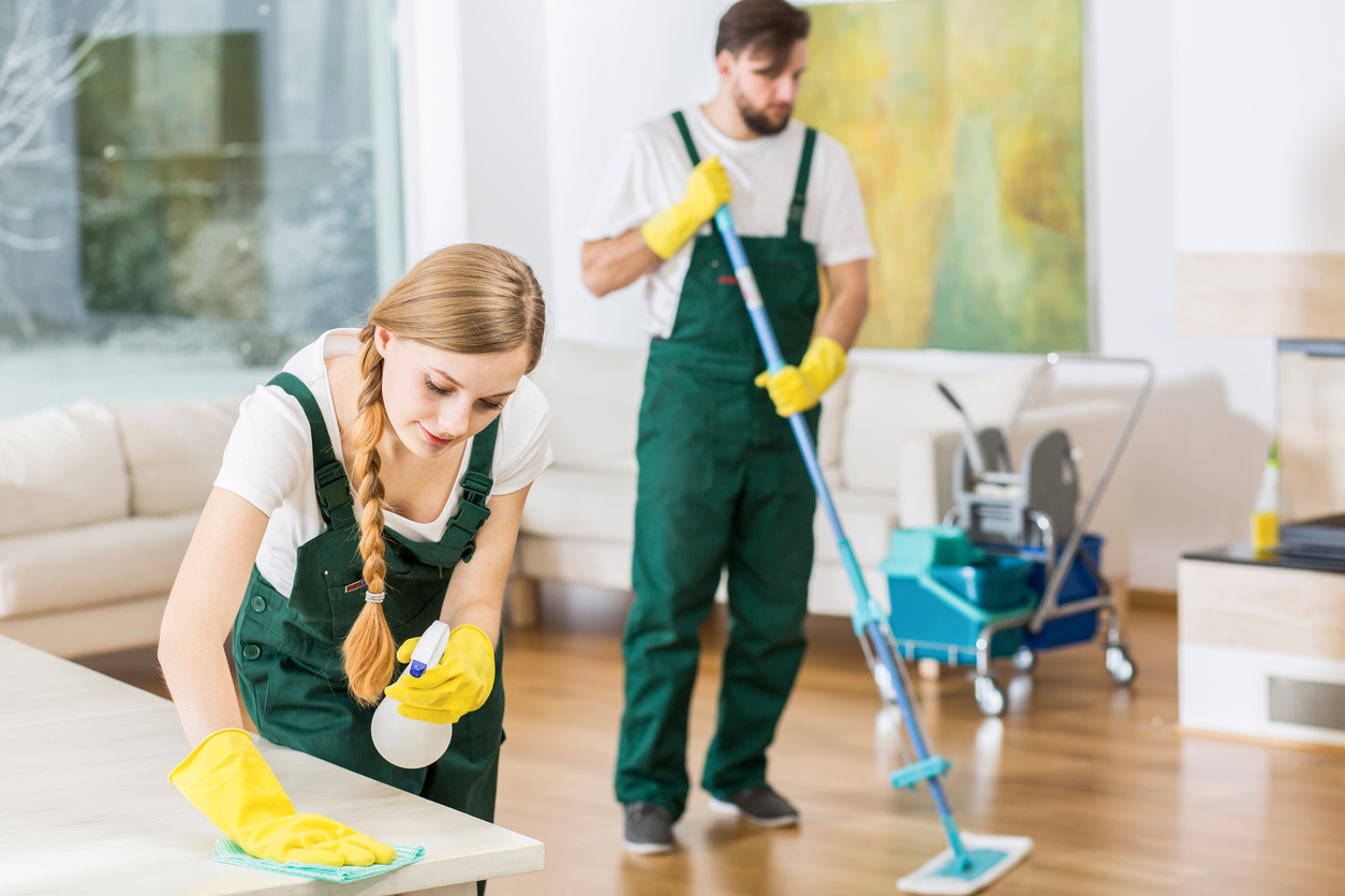 professional cleaning cleaner services hire cleaners